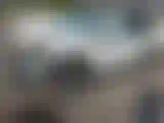 Vehicle Image- 2021 Subaru Forester