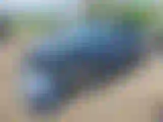 Vehicle Image- 2021 Subaru Forester