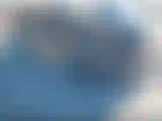 Vehicle Image- 2024 Subaru Forester