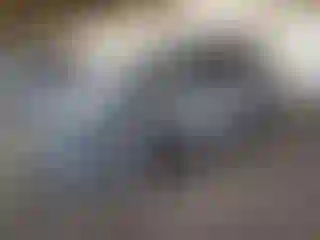Vehicle Image- 2024 Subaru Forester