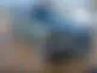 Vehicle Image- 2020 Subaru Forester