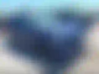 Vehicle Image- 2023 Subaru Forester