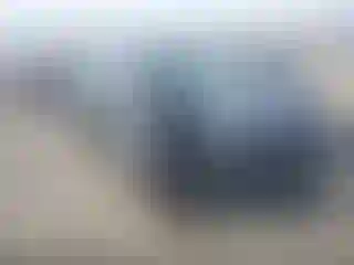 Vehicle Image- 2024 Subaru Forester