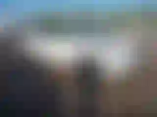 Vehicle Image- 2020 Subaru Forester