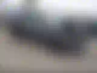 Vehicle Image- 2024 Subaru Forester