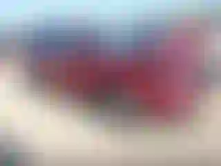 Vehicle Image- 2021 Subaru Forester