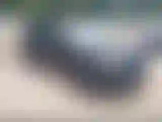 Vehicle Image- 2022 Subaru Forester