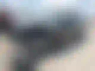 Vehicle Image- 2019 Subaru Forester