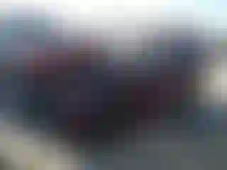 Vehicle Image- 2021 Subaru Forester