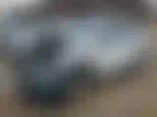 Vehicle Image- 2021 Subaru Forester