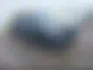 Vehicle Image- 2022 Subaru Forester