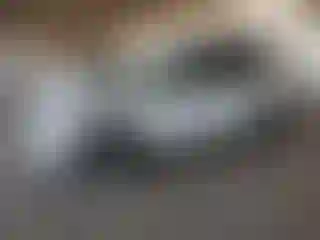 Vehicle Image- 2021 Subaru Forester