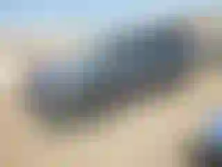 Vehicle Image- 2022 Subaru Forester