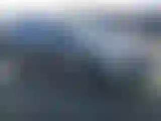 Vehicle Image- 2019 Subaru Forester