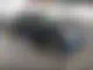 Vehicle Image- 2019 Subaru Forester