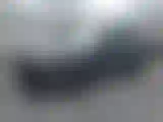 Vehicle Image- 2019 Subaru Forester