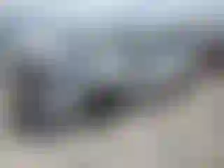 Vehicle Image- 2019 Subaru Forester