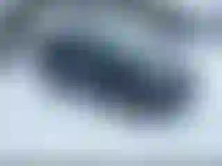 Vehicle Image- 2021 Subaru Forester