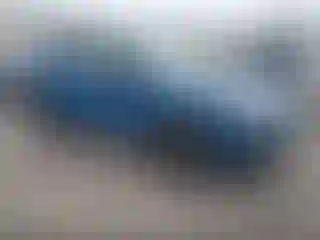 Vehicle Image- 2024 Subaru Forester