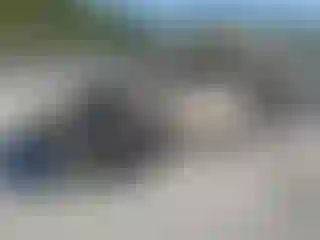 Vehicle Image- 2021 Subaru Forester