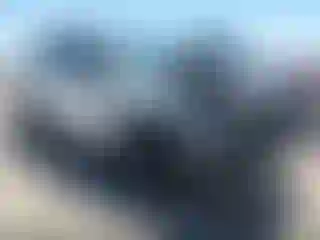 Vehicle Image- 2024 Subaru Forester