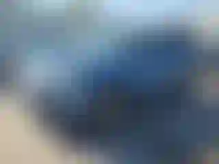 Vehicle Image- 2021 Subaru Forester