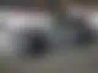 Vehicle Image- 2022 Subaru Forester