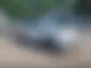 Vehicle Image- 2021 Subaru Forester