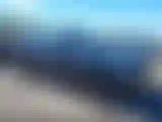 Vehicle Image- 2019 Subaru Forester