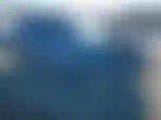 Vehicle Image- 2021 Subaru Forester