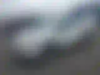 Vehicle Image- 2021 Subaru Forester
