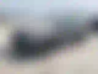 Vehicle Image- 2021 Subaru Forester