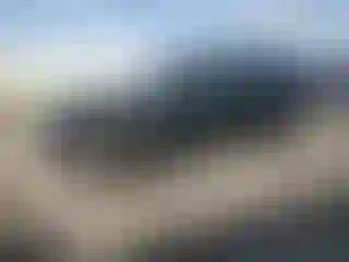 Vehicle Image- 2021 Subaru Forester