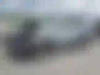 Vehicle Image- 2024 Subaru Forester