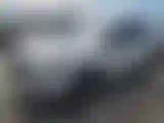Vehicle Image- 2024 Subaru Forester