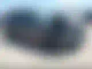 Vehicle Image- 2021 Subaru Forester