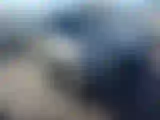 Vehicle Image- 2023 Subaru Forester