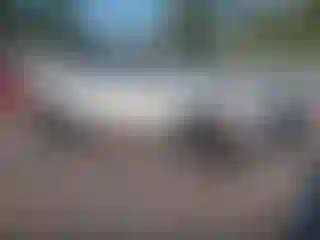 Vehicle Image- 2023 Subaru Forester