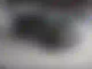 Vehicle Image- 2022 Subaru Forester