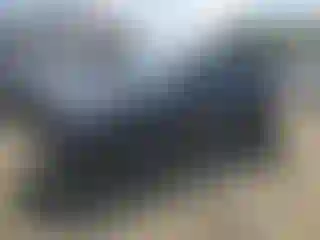 Vehicle Image- 2023 Subaru Forester