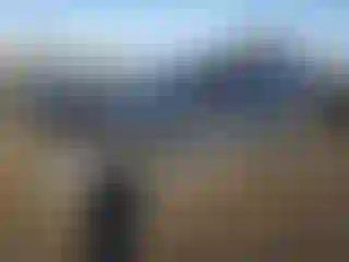 Vehicle Image- 2022 Subaru Forester