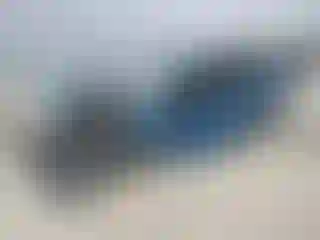 Vehicle Image- 2022 Subaru Forester