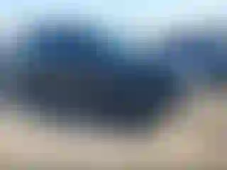 Vehicle Image- 2023 Subaru Forester
