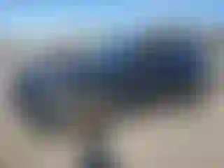Vehicle Image- 2023 Subaru Forester