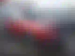 Vehicle Image- 2024 Subaru Forester