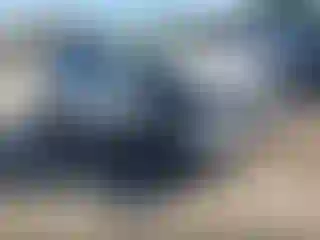 Vehicle Image- 2019 Subaru Forester