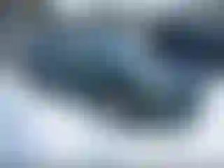 Vehicle Image- 2023 Subaru Forester