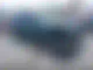 Vehicle Image- 2022 Subaru Forester