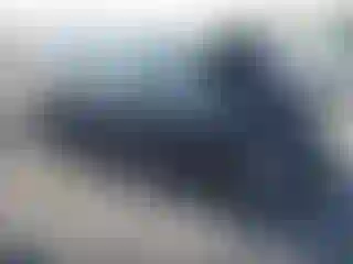 Vehicle Image- 2019 Subaru Forester