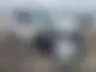 Vehicle Image- 2022 Subaru Forester